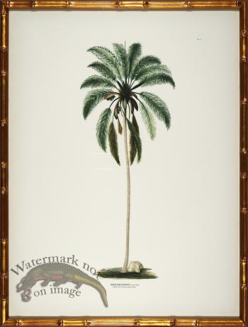 Palm trees in Gold Bamboo 01